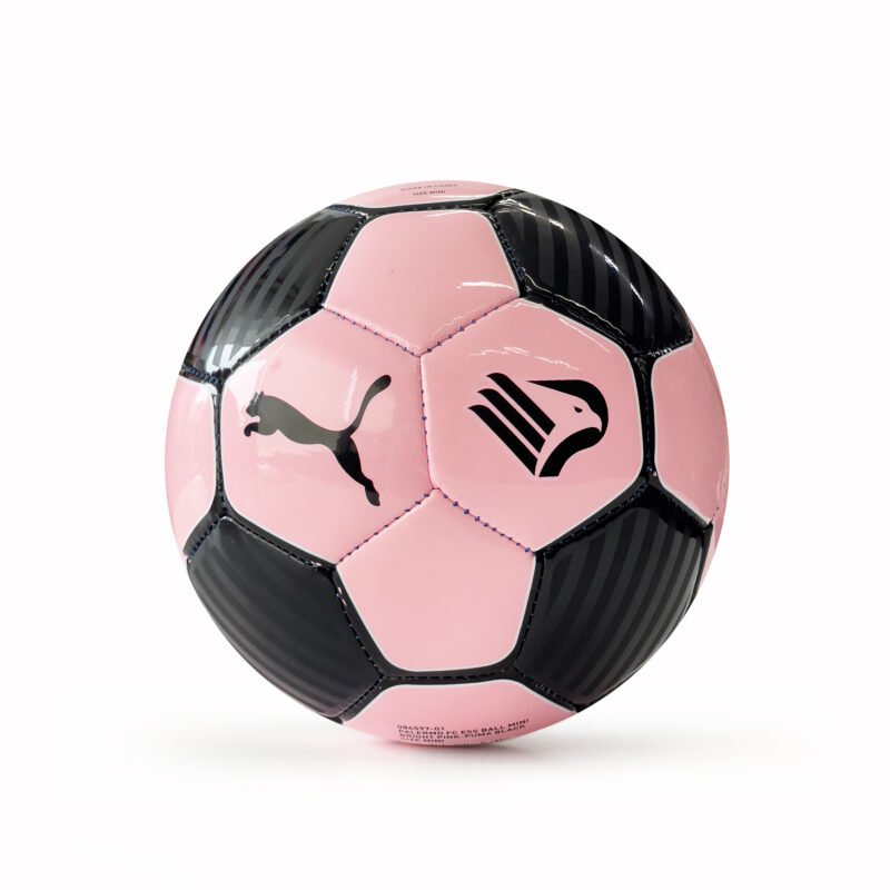 Ball Palermo FC Puma