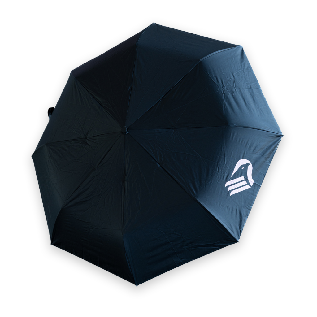 Folding Umbrella