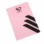 quaderno rosa con simbolo "ala" e logo del Palermo FC